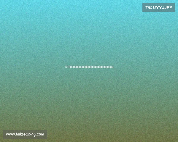 ATP世界巡回赛各项赛事奖杯的辉煌历史独特设计与冠军荣耀传奇探索 ATP世界巡回赛各项赛事奖杯的辉煌历史独特设计与冠军荣耀传奇探索